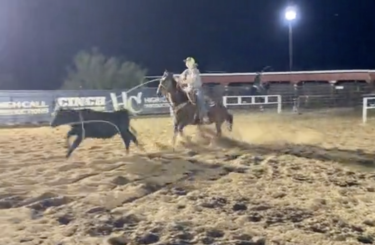 Quincy Segelke Roping On Pib At The Western Trails Ranch In Morristown, Arizona