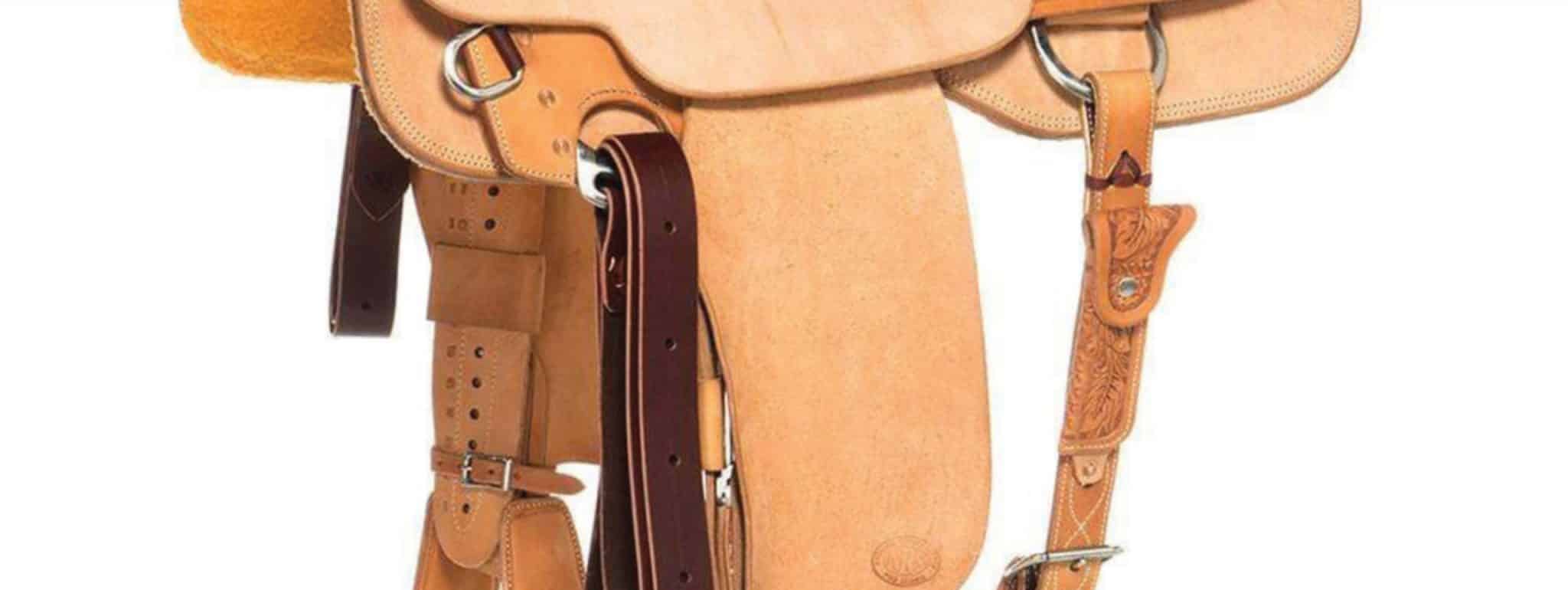 nrsproseriestrsaddle-3-scaled