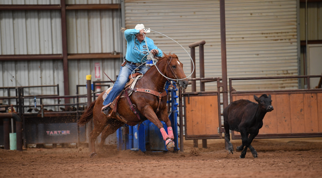 The Basic Elements of The Breakaway Roper's Swing