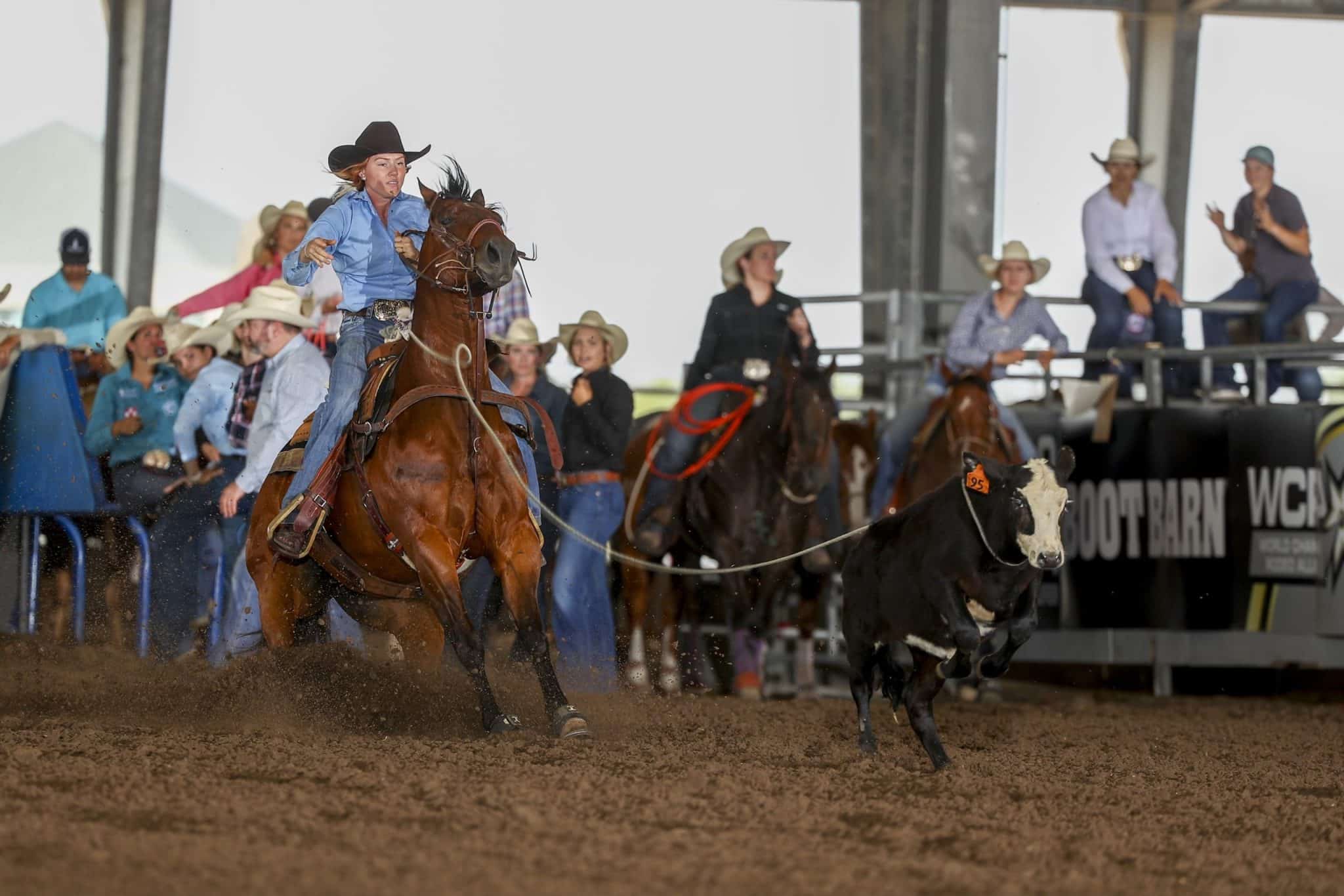 Jolee Jordan, Author at BreakawayRopingJournal