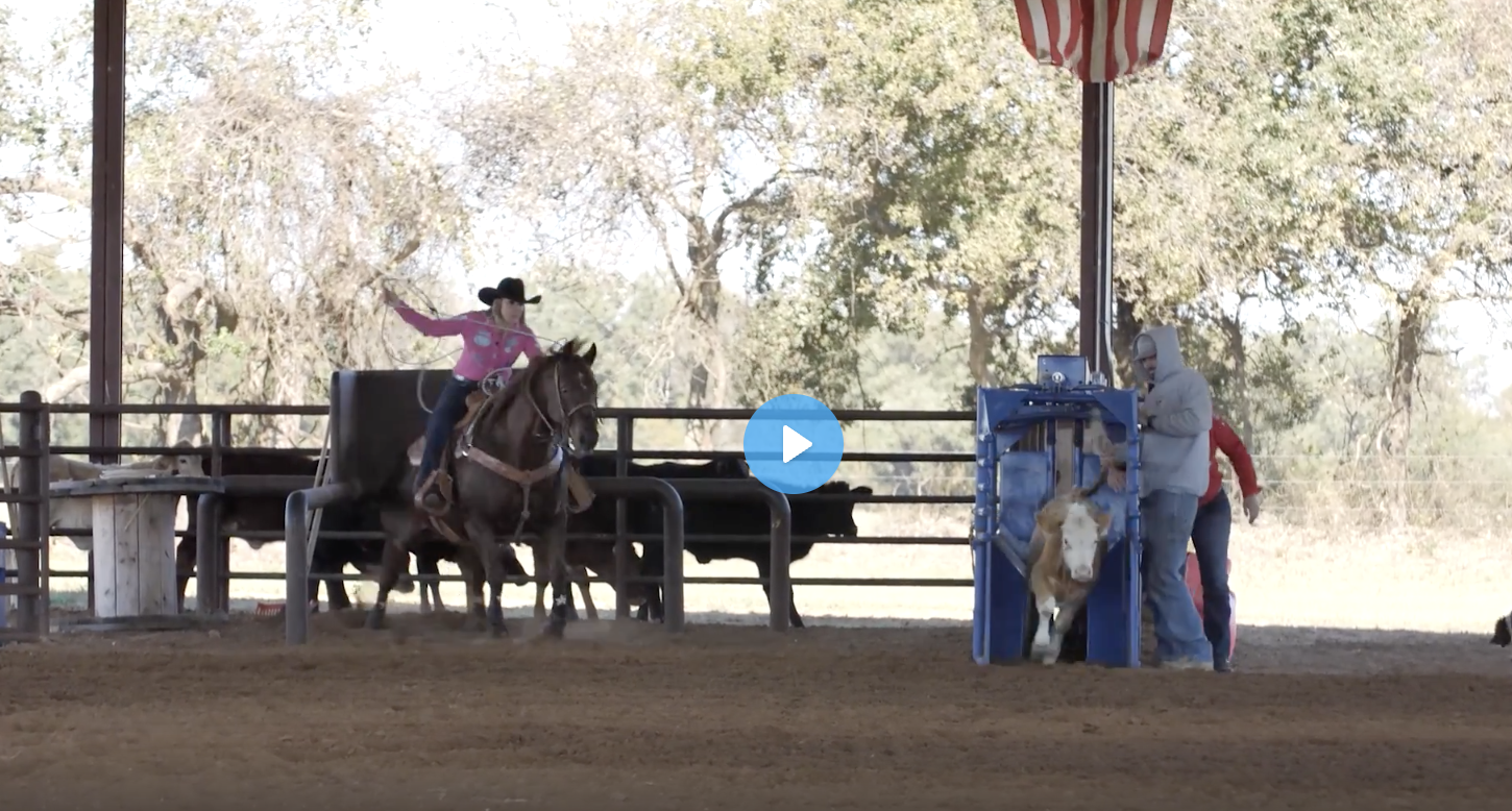 Troubleshooting Pressure Situations On A Seasoned Horse With Hope Thompson And Lari Dee Guy