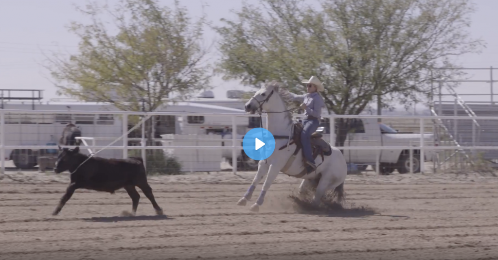 Bethanie Shofner On Roping A Free Horse