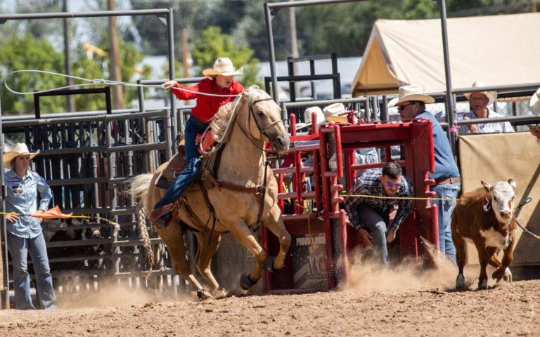 Unofficial Prorodeo Breakaway Circuit Year-end Champs