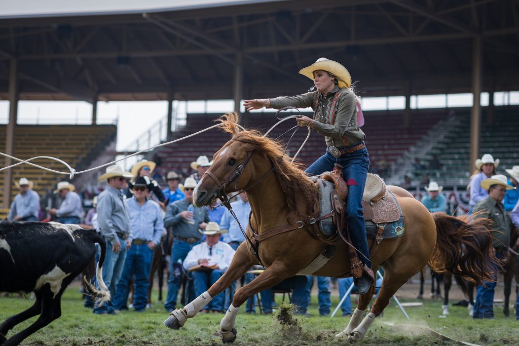 Jordan Minor's One-Eyed Breakaway Horse