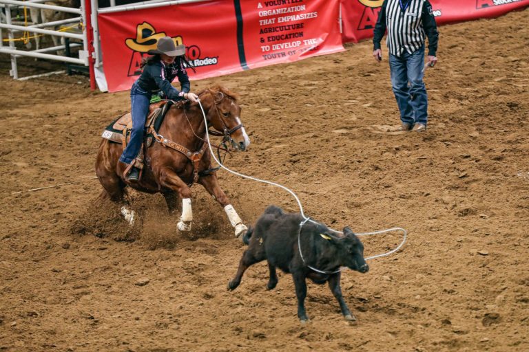 Madison Outhier ropes a calf in breakaway roping at San Antonio.