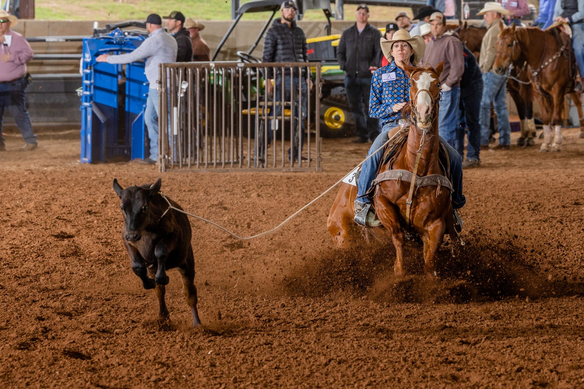 Tauna Alcorn stops her horse after catching a calf in the breakaway roping.